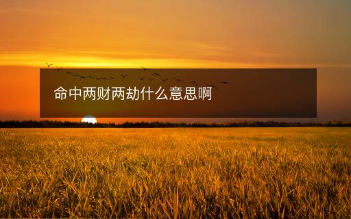 命中兩財兩劫什么意思啊
