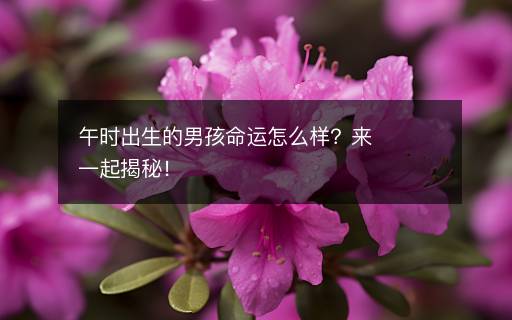午時(shí)出生的男孩命運(yùn)怎么樣？來一起揭秘！