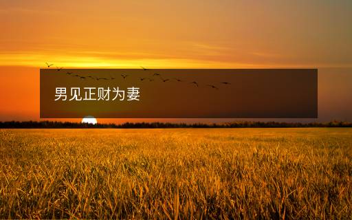 男見正財為妻