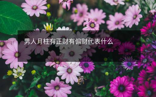 男人月柱有正財(cái)有偏財(cái)代表什么