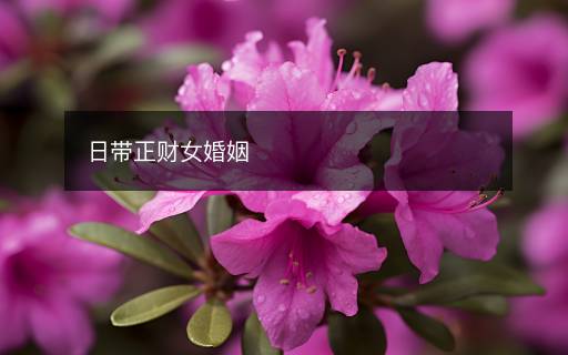 日帶正財(cái)女婚姻