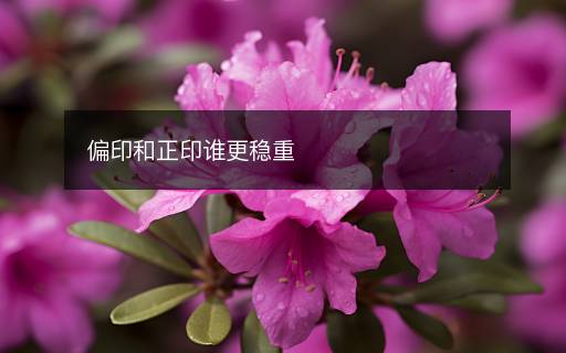 偏印和正印誰更穩(wěn)重
