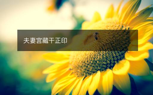 夫妻宮藏干正印