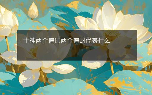十神兩個偏印兩個偏財代表什么