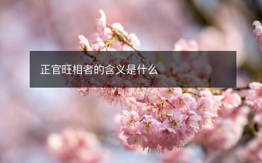 正官旺相者的含義是什么