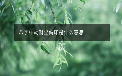 八字中劫財(cái)坐偏印是什么意思