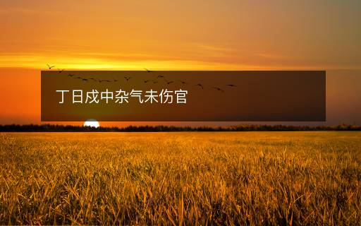 丁日戍中雜氣未傷官