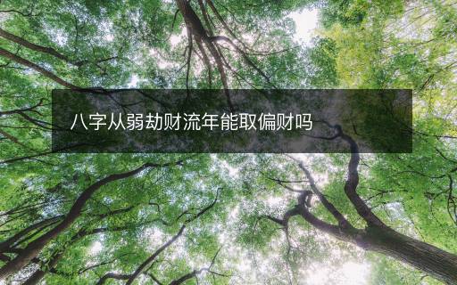 八字從弱劫財流年能取偏財嗎