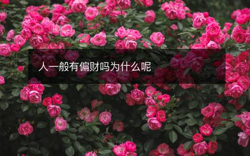 人一般有偏財嗎為什么呢