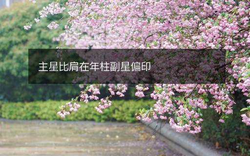 主星比肩在年柱副星偏印