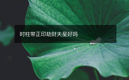 時(shí)柱帶正印劫財(cái)夫星好嗎