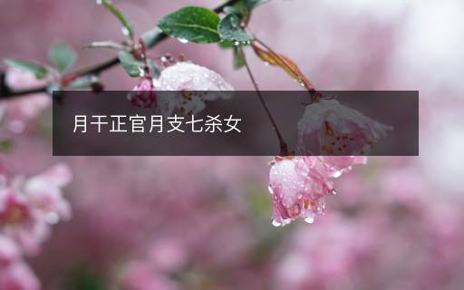 月干正官月支七殺女
