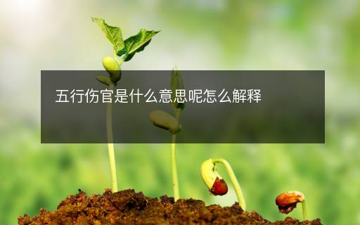 五行傷官是什么意思呢怎么解釋