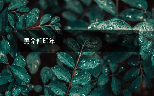 男命偏印年