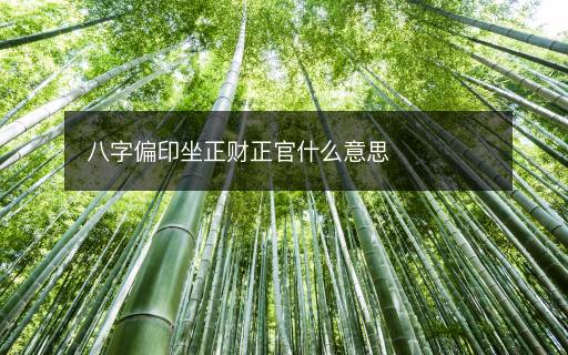 八字偏印坐正財(cái)正官什么意思