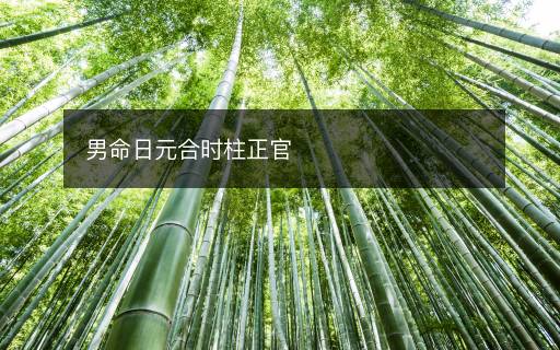 男命日元合時(shí)柱正官