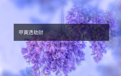 甲寅透劫財