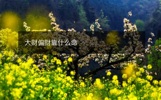 大財(cái)偏財(cái)靠什么命