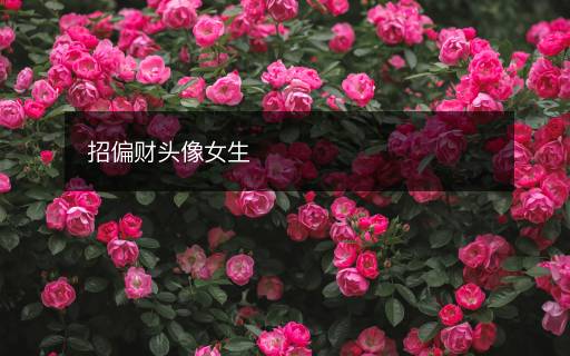 招偏財(cái)頭像女生