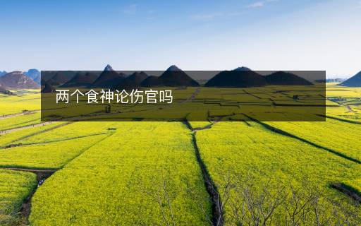 兩個食神論傷官嗎