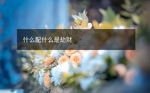 什么配什么是劫財(cái)