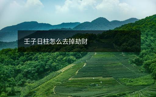 壬子日柱怎么去掉劫財
