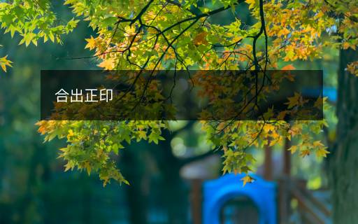 合出正印