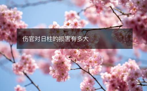 傷官對日柱的損害有多大