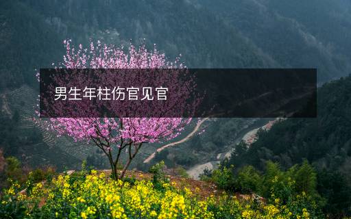 男生年柱傷官見官