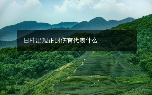 日柱出現(xiàn)正財傷官代表什么