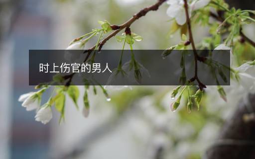 時(shí)上傷官的男人