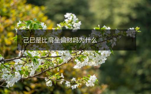 己巳是比肩坐偏財(cái)嗎為什么