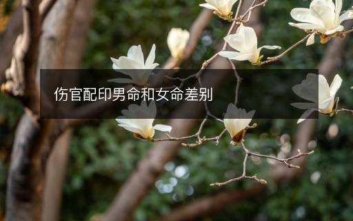 傷官配印男命和女命差別