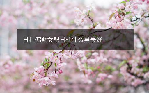 日柱偏財(cái)女配日柱什么男最好