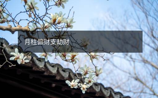 月柱偏財支劫財
