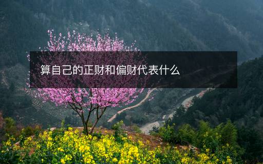 算自己的正財和偏財代表什么
