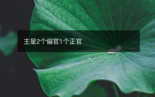 主星2個(gè)偏官1個(gè)正官