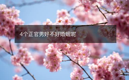 4個正官男好不好婚姻呢