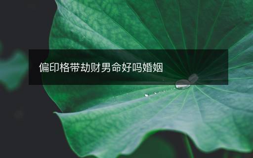 偏印格帶劫財(cái)男命好嗎婚姻