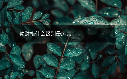 劫財格什么級別最厲害