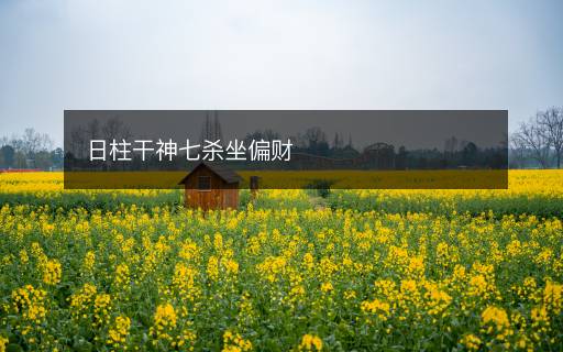 日柱干神七殺坐偏財(cái)