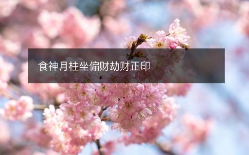 食神月柱坐偏財(cái)劫財(cái)正印