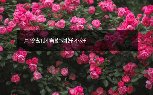 月令劫財看婚姻好不好