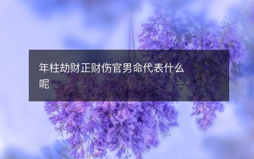 年柱劫財(cái)正財(cái)傷官男命代表什么呢