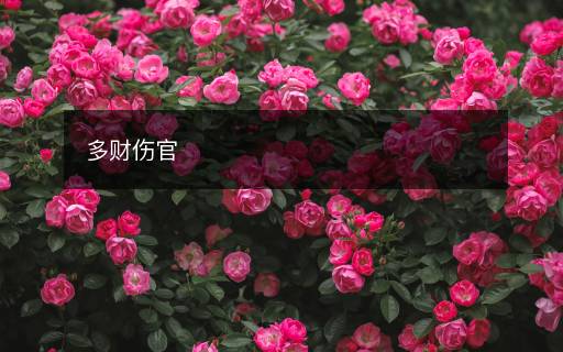 多財(cái)傷官