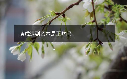庚戌遇到乙木是正財嗎