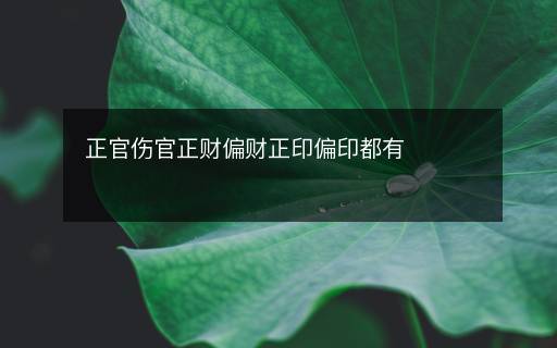 正官傷官正財(cái)偏財(cái)正印偏印都有