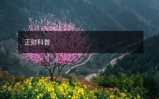 正財科普