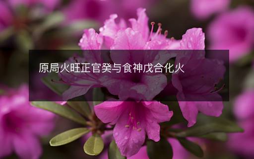 原局火旺正官癸與食神戊合化火