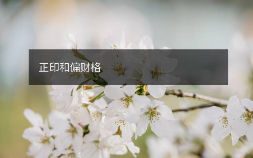 正印和偏財(cái)格